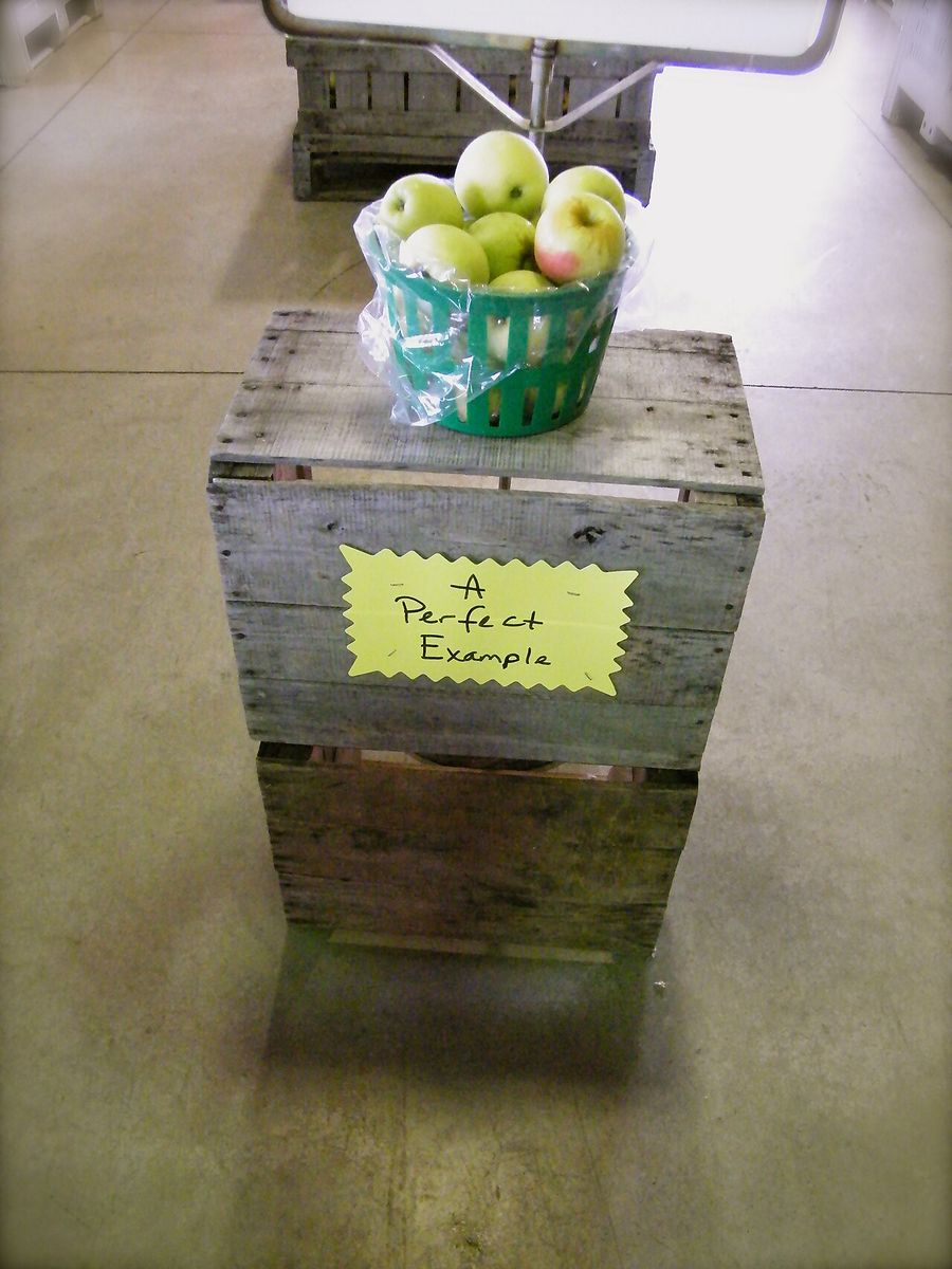 Ellijay Apple Orchards