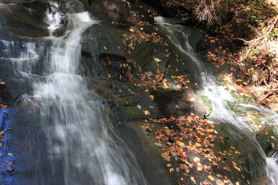 Fall Branch Falls & Aska Trails