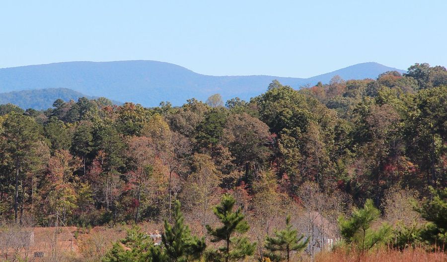 Springer Mountain